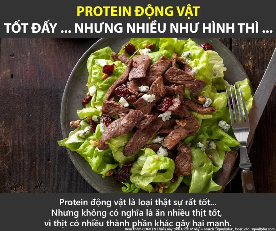 Tiêu thụ thịt, hấp thụ Protein động vật, cái tốt & xấu của nó