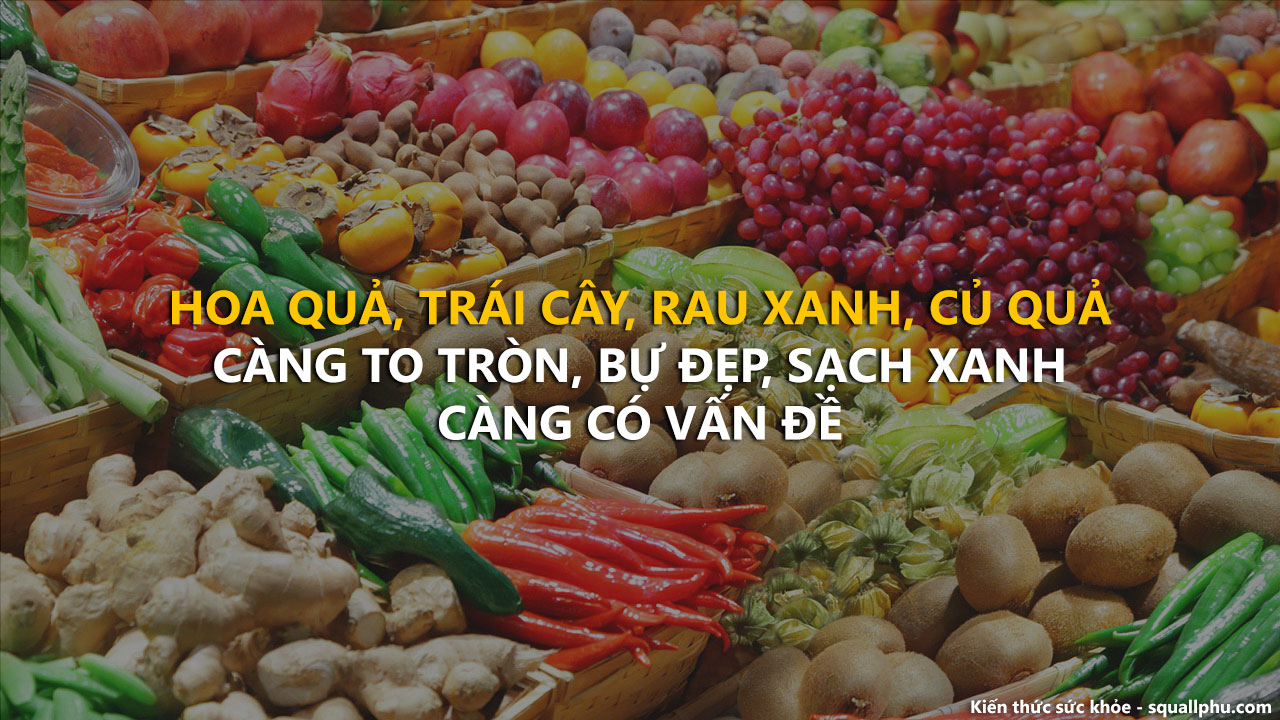 Rau củ quả càng to đẹp, càng có vấn đề | Squallphu